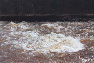 ����� ���� ��� ��� ����