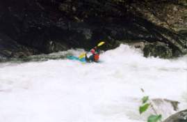 ������ �.�������